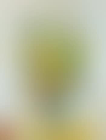 Yellow Lily (preview)