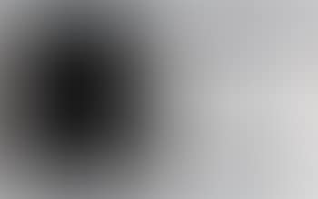 Light and Dark (diptych) (preview)