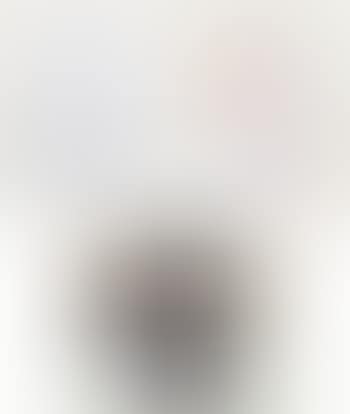 Untitled (preview)