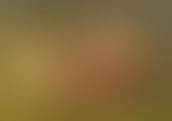 Midsummer Morn (preview)