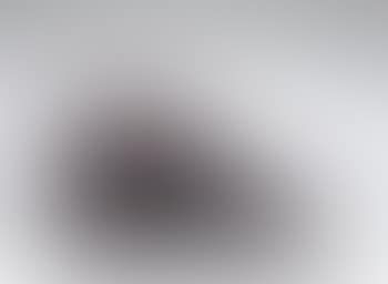 Water Buffalo (preview)