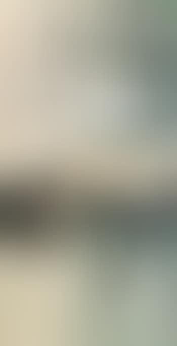 White Egret (preview)
