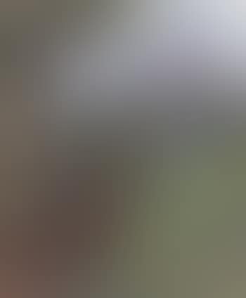 De Hubertushirsch (preview)