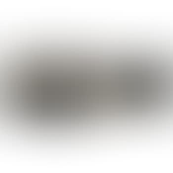 Copyright violation of a stock photo (preview)