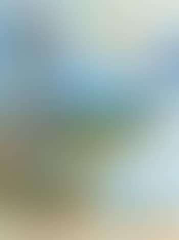 Morning mist (preview)