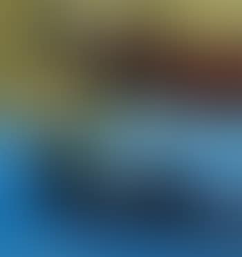 Double image III (preview)