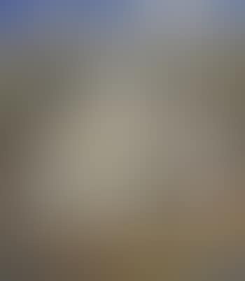 Shoalhaven with flying bird (preview)