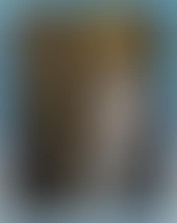 Veiled light (preview)