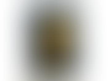 Ochre head (preview)
