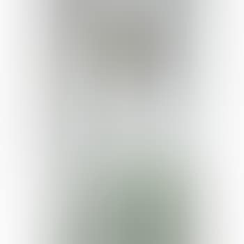 Portrait de jeune femme au châle vert (preview)