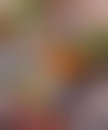 Nature morte au bouquet de tulipes (preview)