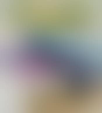 Der Vogel (preview)