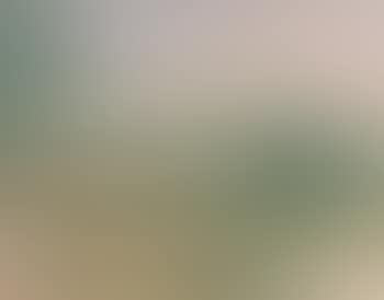Paysage d'été (preview)