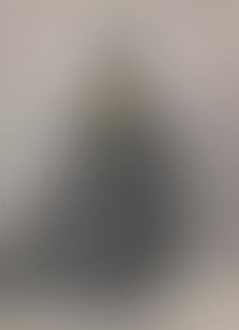 Dame in großer Robe von hinten gesehen (preview)