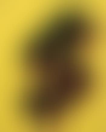 Dollar sign (preview)