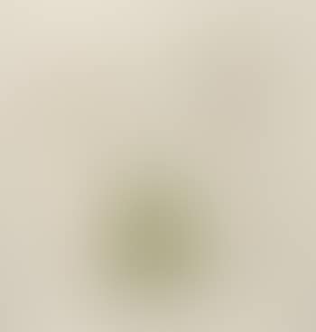 Screen memory 0 (lotus root or fruit) (preview)