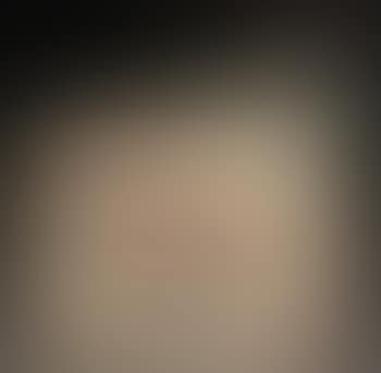 Untitled (dogs and horses) (preview)