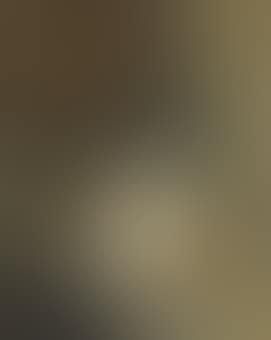 A Mother Cat and her Kitten with a Bracket Clock (preview)