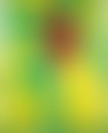Flowering Palm (H. 89) (preview)