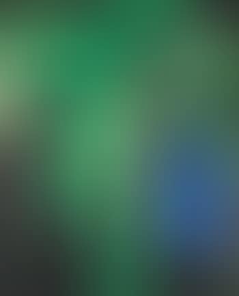 Palm And Window (H. 88) (preview)