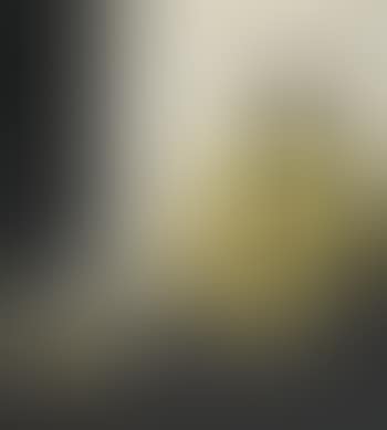 Chagrin (preview)