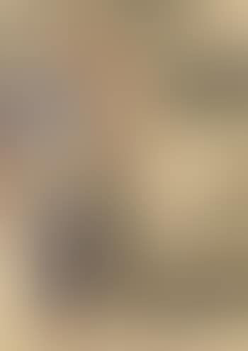 Spazierendes Paar (preview)