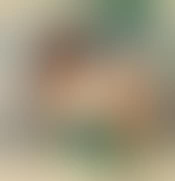 Kälbchen (preview)