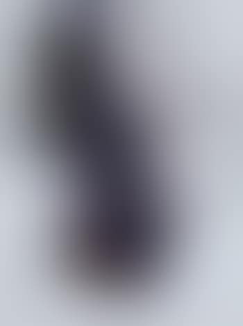 Abstract (preview)