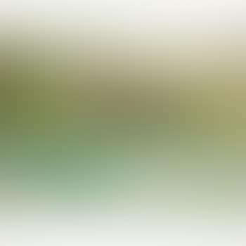 Paysage (preview)