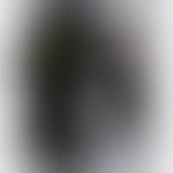 Opus 75F (preview)