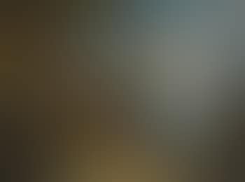 The Rest On The Flight Into Egypt (preview)