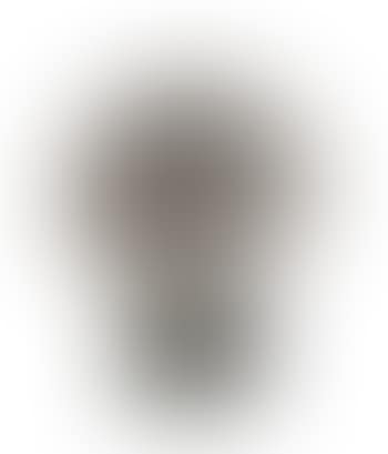 Bush form (preview)