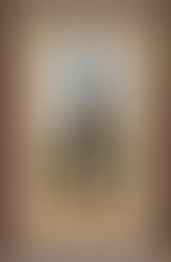 Plantation worker in a cotton field (preview)