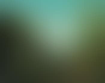 Leonora In The Morning Light (preview)