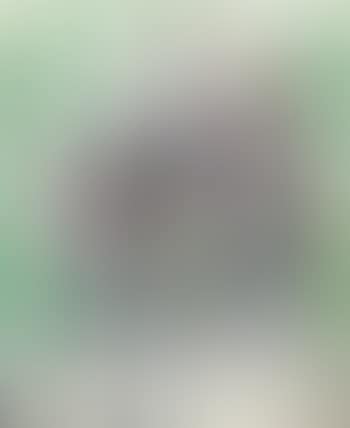 La Citronade (preview)