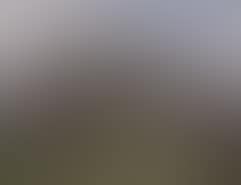 Paysage (preview)