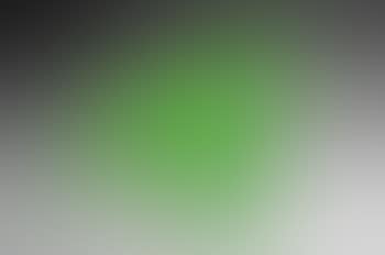 Cloned green English terrier dog for the Olympics (preview)