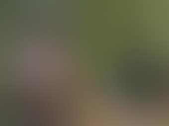 Jeune fille brodant, assise dans un jardin (preview)
