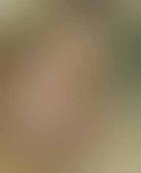 Femme nue assise au linge (preview)