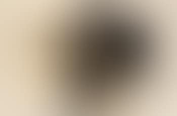 Composition (preview)