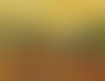 Olive Trees with Yellow Sky, After Vincent Van Gogh (Pictures of Pigment) (preview)