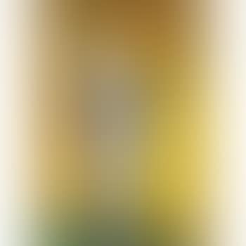 Clown Blanc (preview)