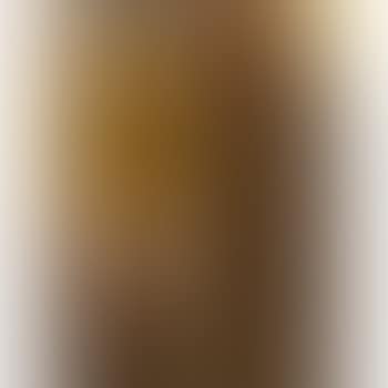 Madame Roussel Au Chiffonier (preview)