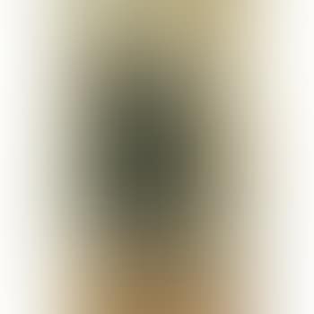 Nature Morte Aux Fleurs (preview)