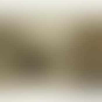 Le Pont (preview)