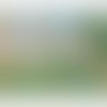 Paysage (preview)
