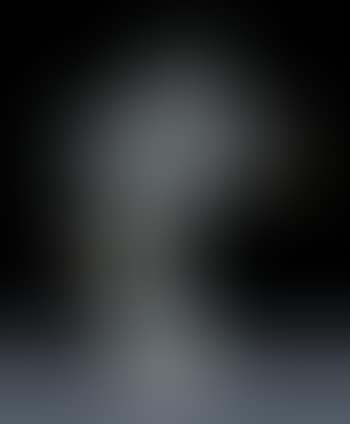 Pegaso (preview)