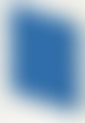 Untitled: one plate (preview)
