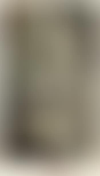 Nude Descending a Staircase No. 2 (Nu descendant un escalier No. 2) (preview)