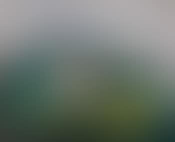 Nature morte (preview)